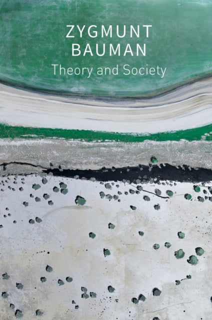 Theory & Society Selected Writings