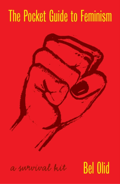 Pocket Guide To Feminism