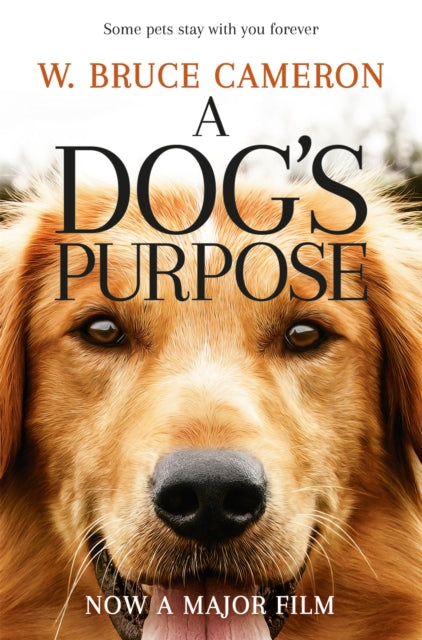 Dog's Purpose Film Tie In
