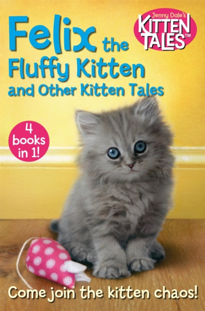 Felix The Fluffy Kitten/other Kitten Sto
