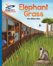 Elephant Grass Blue