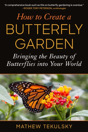 How To Create A Butterfly Garden