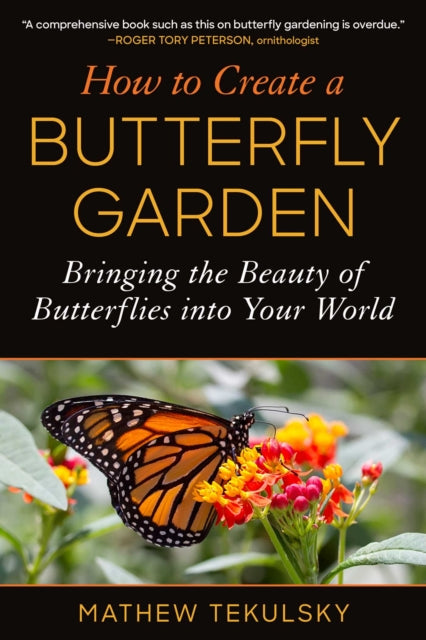 How To Create A Butterfly Garden