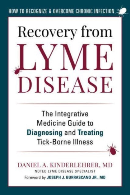 Recovery From Lyme Disease By Kinderlehrer, Daniel