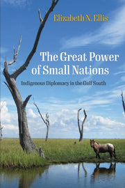 Great Power Of Small Nations