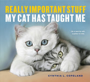 Really Important Stuff My Cat Has Taught