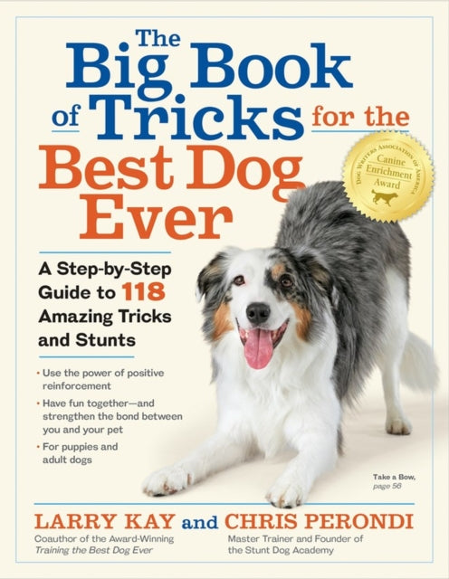 Big Book Of Tricks For The Best Dog Ever By Kay, Larry