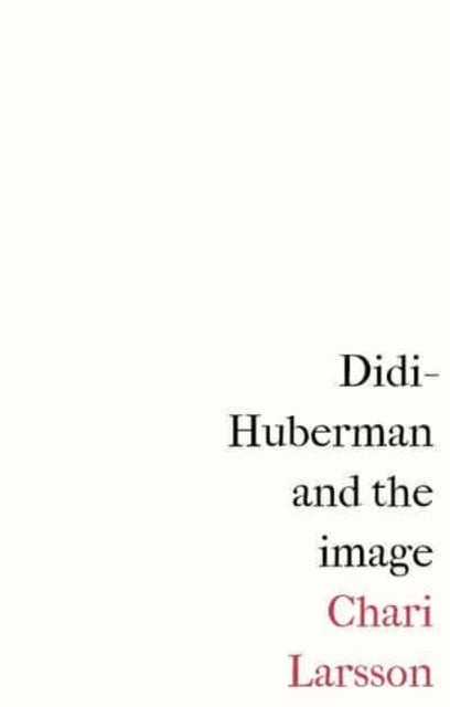 Didi Huberman And The Image