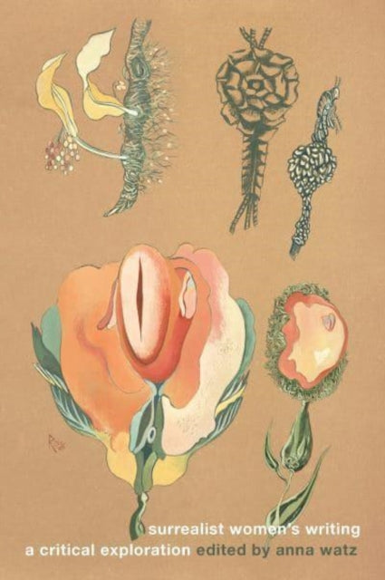 Surrealist Women S Writing