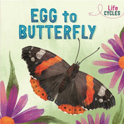 Egg To Butterfly
