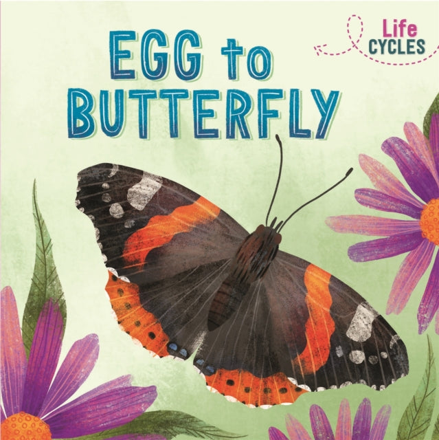 Egg To Butterfly