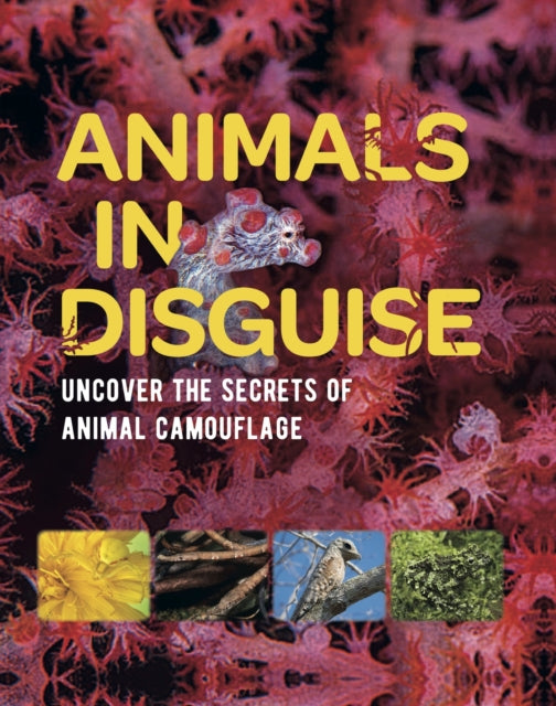 Animals In Disguise