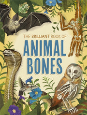 Brilliant Book Of Animal Bones By Claybourne, Anna