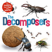 Insects That Run Our World The Decompose