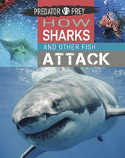 Predator Vs Prey How Sharks And Other