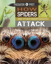 Predator Vs Prey How Spiders & Other Inv