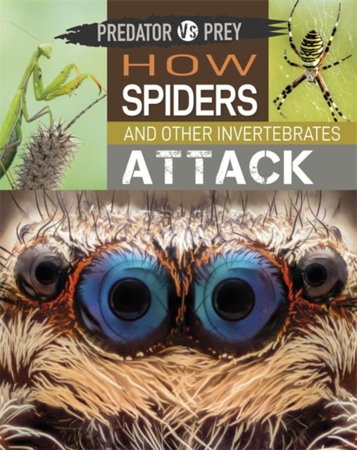 Predator Vs Prey How Spiders & Other Inv