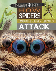 Predator Vs Prey How Spiders And Other
