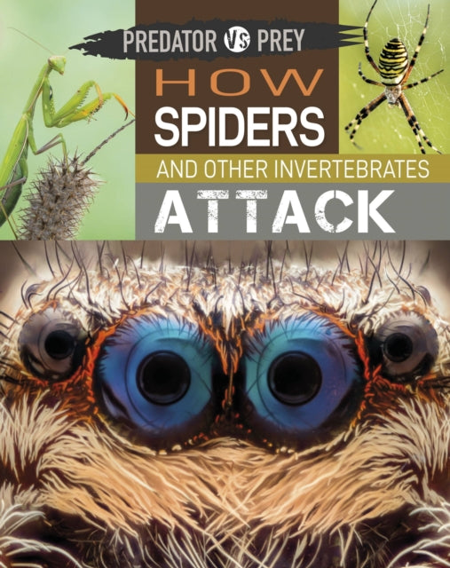 Predator Vs Prey How Spiders And Other
