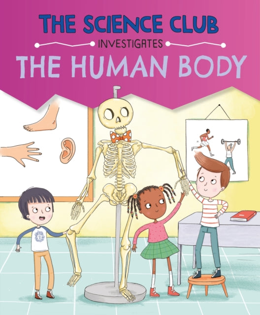 Science Club Investigates The Human Body