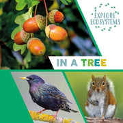 Explore Ecosystems In A Tree