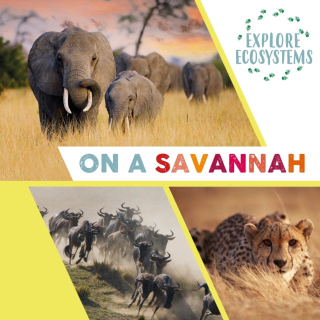 Explore Ecosystems In A Savannah