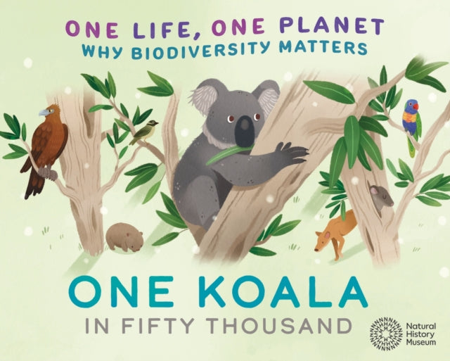 One Life One Planet One Koala In One