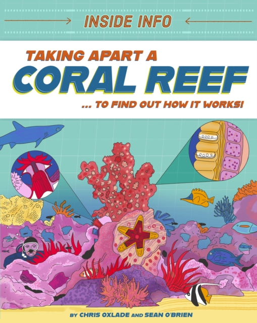 Inside Info Taking Apart A Coral Reef