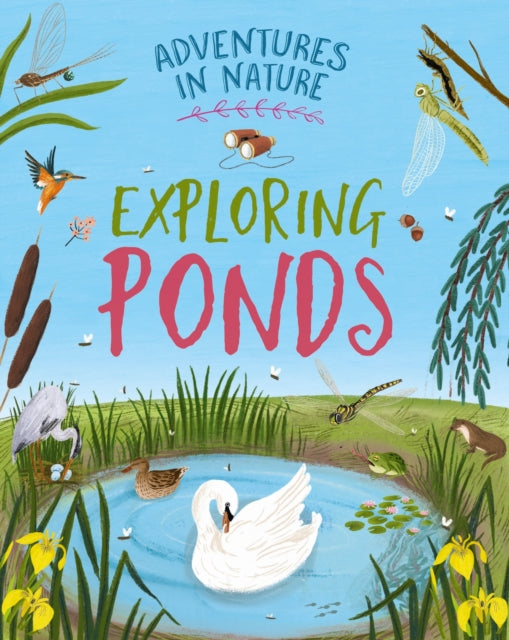 Adventures In Nature Exploring A Pond