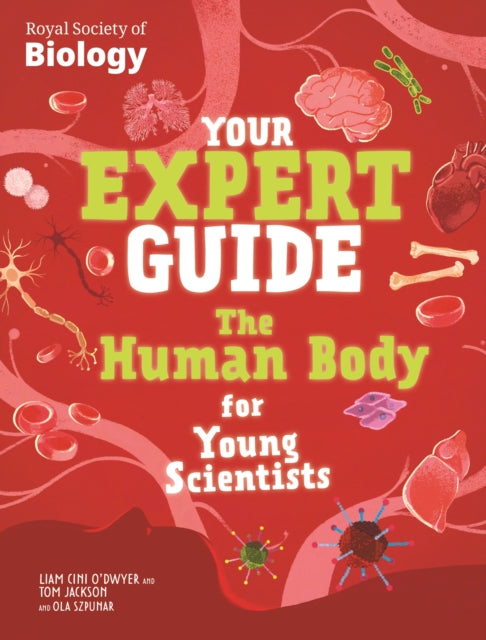 Your Expert Guide The Human Body For You