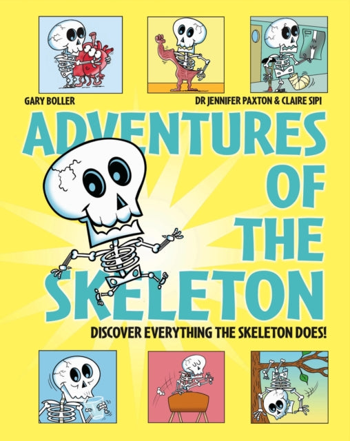 Adventures Of The Skeleton By Wayland Publishers