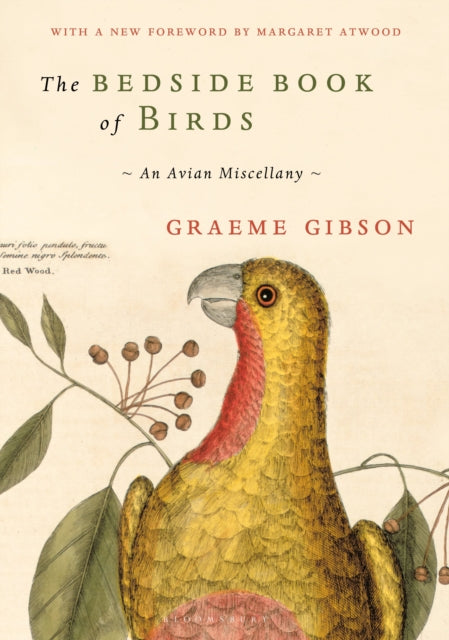 Bedside Book Of Birds