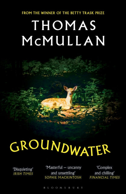Groundwater By Mcmullan, Thomas