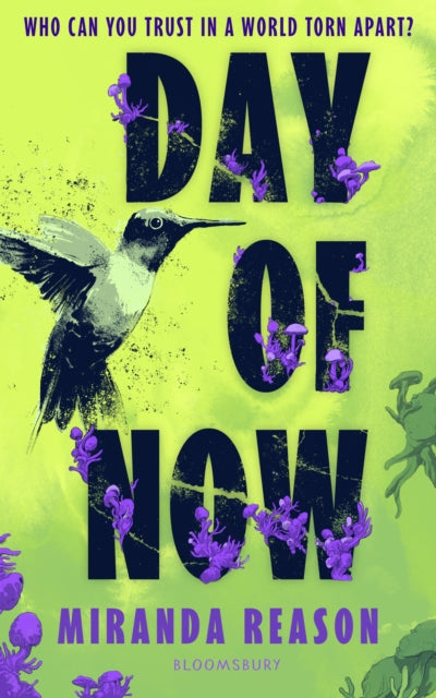 Day Of Now By Reason, Miranda