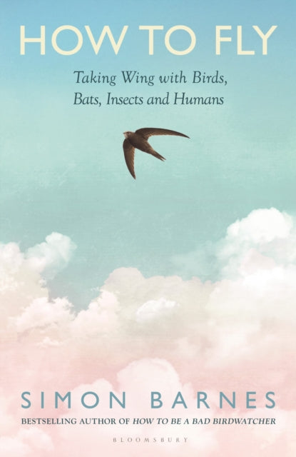 How To Fly