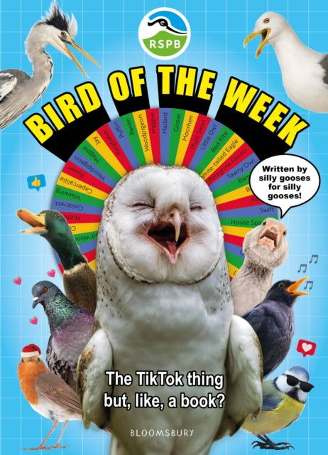 Rspb Bird Of The Week