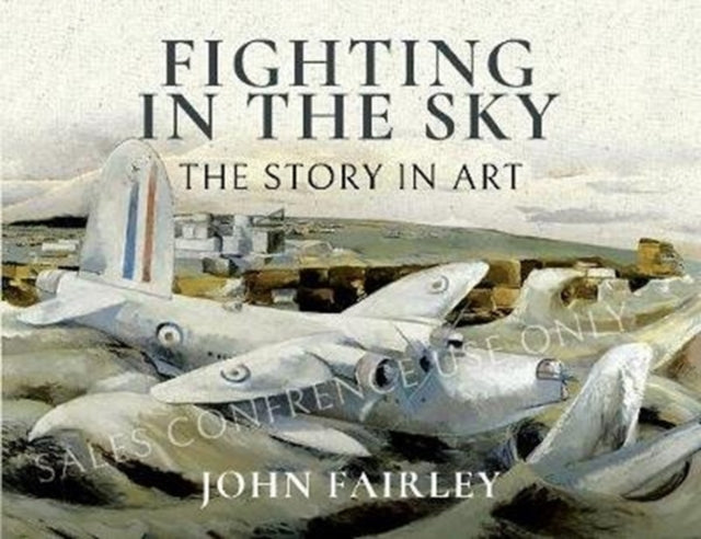Fighting In The Sky