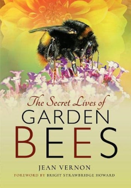 Secret Lives Of Garden Bees