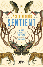 Sentient By Higgins, Jackie