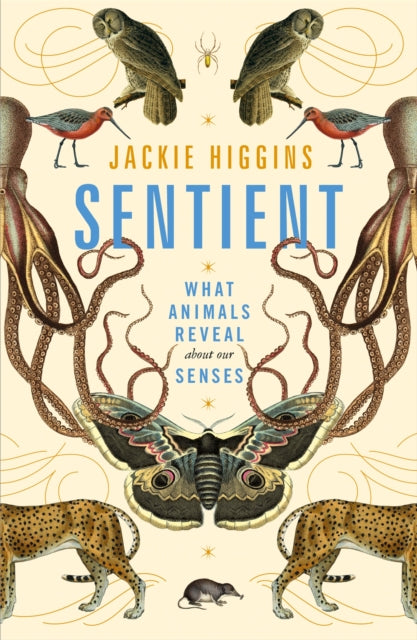 Sentient By Higgins, Jackie