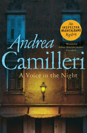 Voice In The Night