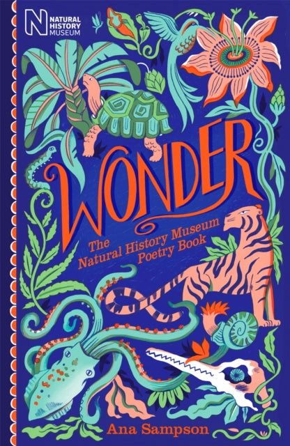 Wonder/natural History Museum Poetry Bk By Sampson, Ana
