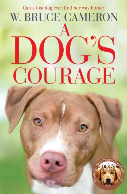 Dogs Courage