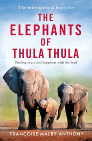 Elephants Of Thula Thula