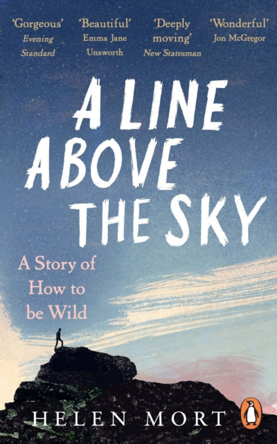 Line Above The Sky