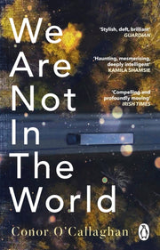 We Are Not In The World