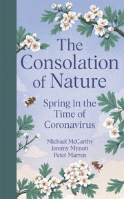 Consolation Of Nature