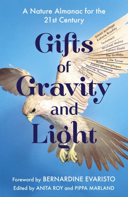 Gifts Of Gravity & Light