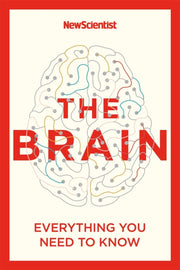 Brain