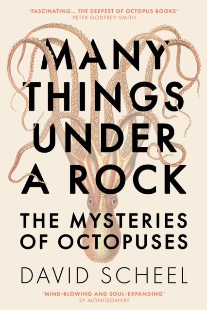 Many Things Under A Rock